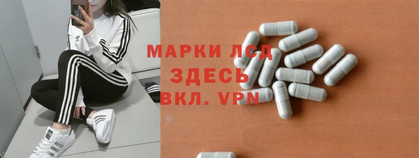 гашик Пестово