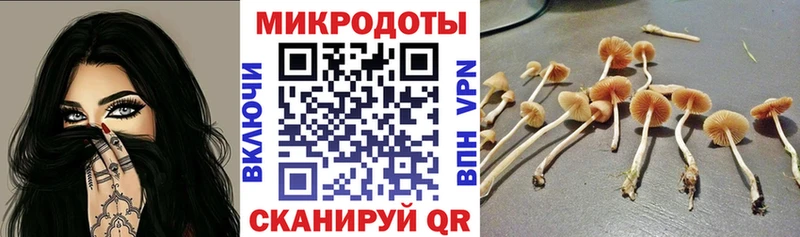 Купить  Волжский  Псилоцибиновые грибы Psilocybine cubensis 